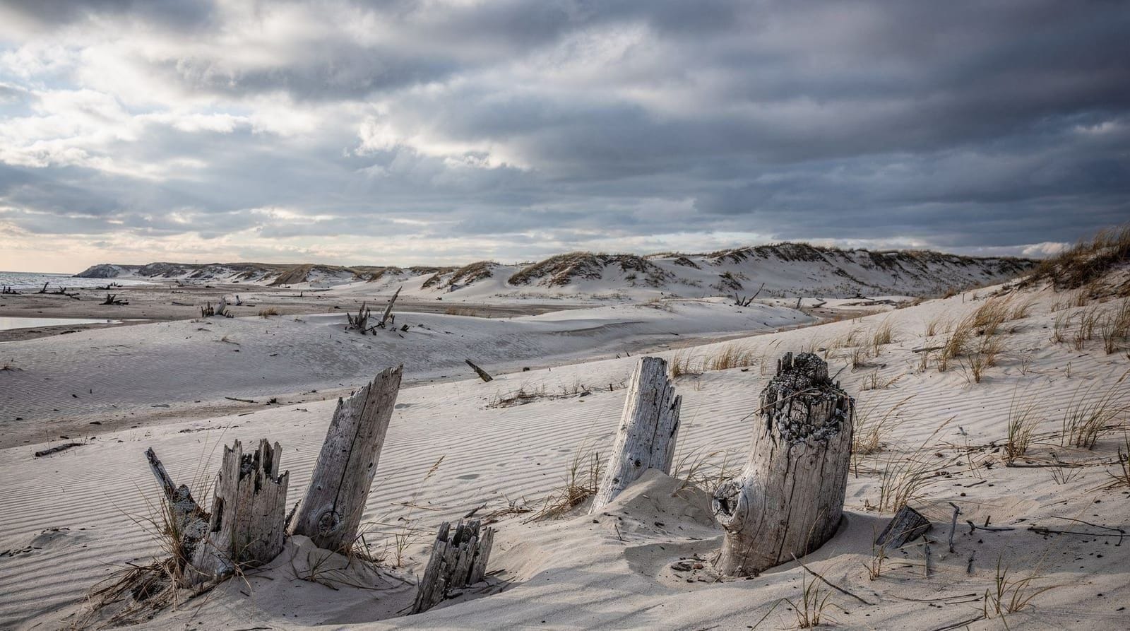 Curonian Spit nature guide — dunes, forests, and wildlife — Curonian Spit nature guide — Parnidis Dune, amber beaches, birdwatching, cycling